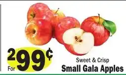 Sellers Bros Small Gala Apples offer