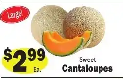 Sellers Bros Sweet Cantaloupes offer