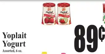 Yoplait Yogurt