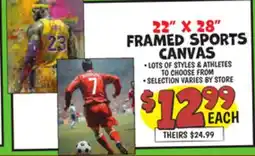 Ollie's 22 X 28 FRAMED SPORTS CANVAS offer