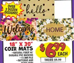 Ollie's 18 X 30 COIR MATS offer