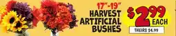 Ollie's 17-19 HARVEST ARTIFICIAL BUSHES offer