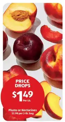 Aldi Plums or Nectarines offer