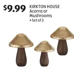 Aldi KIRKTON HOUSE Acorns or Mushrooms offer