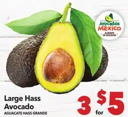 Vallarta Supermarkets Large Hass Avocado | AGUACATE HASS GRANDE offer