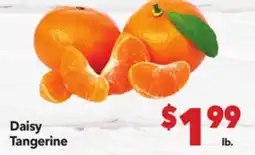 Vallarta Supermarkets Daisy Tangerine offer