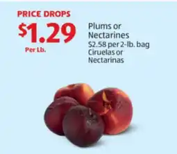 Aldi Plums or Nectarines offer