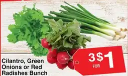 Superior Grocers Cilantro, Green Onions or Red Radishes Bunch offer