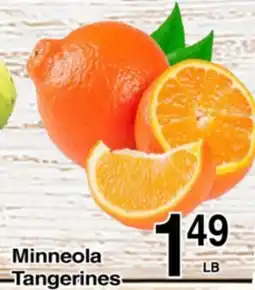 Superior Grocers Minneola Tangerines offer