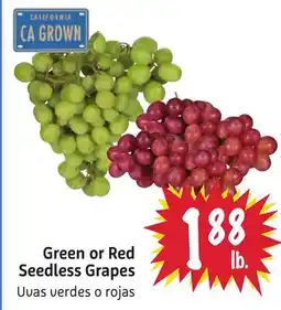 Foodmaxx Green or Red Seedless Grapes offer
