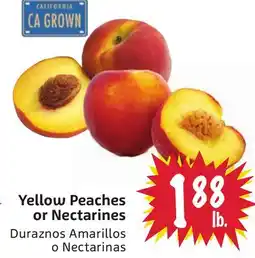 Foodmaxx Yellow Peaches or Nectarines offer