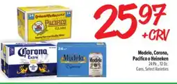 El Super Modelo, Corona, Pacifico or Heineken offer