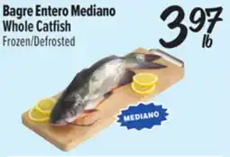 El Super Bagre Entero Mediano / Whole Catfish offer