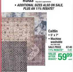Menards Caitlin Rugs offer