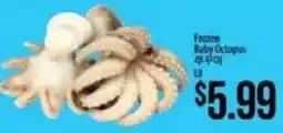 Hmart Frozen Baby Octopus offer