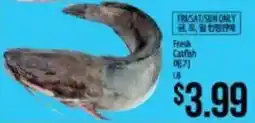 Hmart Fresh Catfish offer
