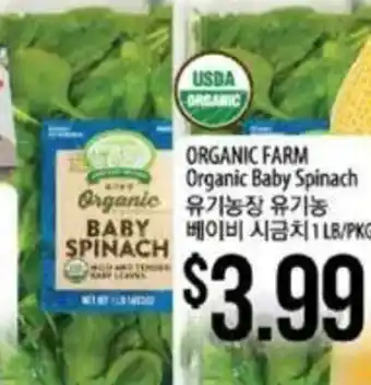 Organic Farm Organic Baby Spinach