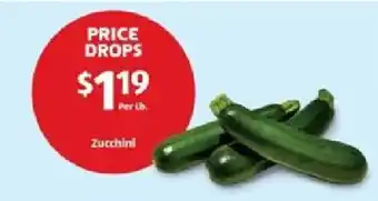 Zucchini