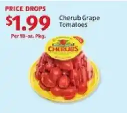 Aldi Cherub Grape Tomatoes offer