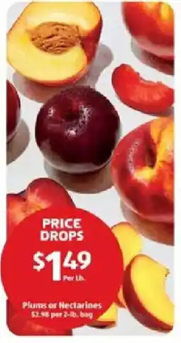 Aldi Plums or Nectarines offer