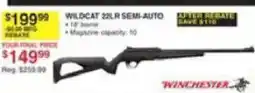Dunham's Sports Winchester Wildcat 22lr Semi-Auto offer