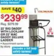 Dunham's Sports Olman 22' Big Daddy With Lockjaw Or 22' Mac Daddy Deluxe Ladder offer