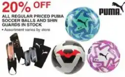 Dunham's Sports Puma soccer balls and shin guards offer
