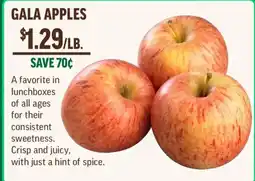 Central Market Gala Apples offer