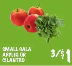 Foodarama Small gala apples or cilantro offer