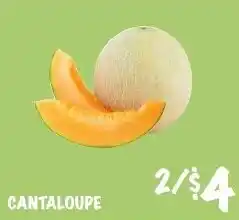 Foodarama Cantaloupe offer