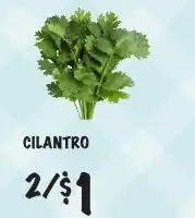 Foodarama Cilantro offer