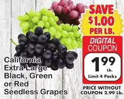 Fairplay California extra large black, green or red seedless grapes offer
