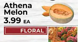 Sunset Foods Athena melon offer