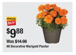 The Home Depot 8 Decorative Marigold Planter offer