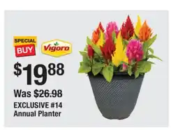 The Home Depot Vigoro EXCLUSIVE #14 Annual Planter offer