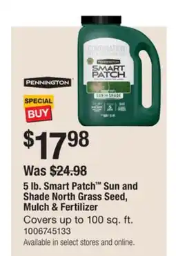 The Home Depot PENNINGTON 5 lb. Smart Patch Sun and Shade North Grass Seed, Mulch & Fertilizer offer