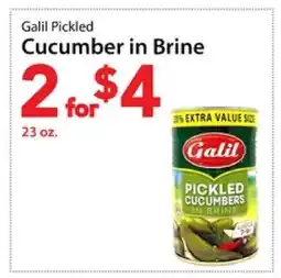 Three Guys from Brooklyn Galil Pickled Cucumber in Brine offer