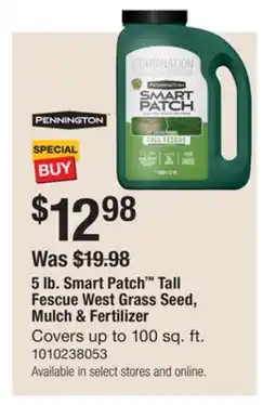 The Home Depot Pennington 5 lb. Smart Patch Tall Fescue West Grass Seed, Mulch & Fertilizer offer