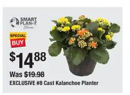 The Home Depot EXCLUSIVE #8 Cast Kalanchoe Planter offer