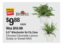 The Home Depot 8.5 Winchester No Fly Zone offer