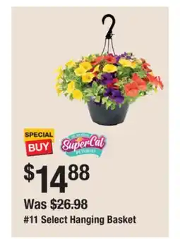 The Home Depot 11 Select Hanging Basket offer