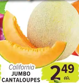 Cermak Fresh Market California JUMBO CANTALOUPE offer