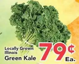 Eurofresh Market Locally Grown Illinois Green Kale offer