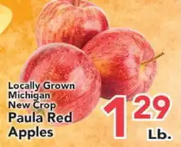 Eurofresh Market Locally Grown Michigan New Crop Paula Red Apples offer