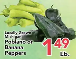 Eurofresh Market Locally Grown Michigan Poblano or Banana Peppers offer