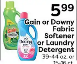Rich's Fresh Market Gain or Downy Fabric Softener or Laundry Detergent offer