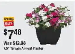 The Home Depot 7.5" Terrain Annual Planter offer