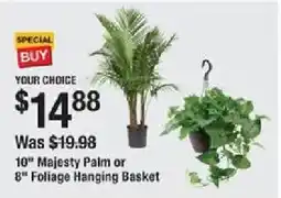 The Home Depot Your Choice 10" Majesty Palm or 8" Foliage Hanging Basket offer