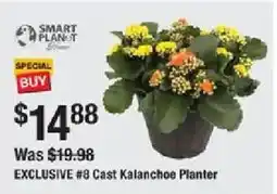 The Home Depot Smart Planet Exclusive #8 Cast Kalanchoe Planter offer