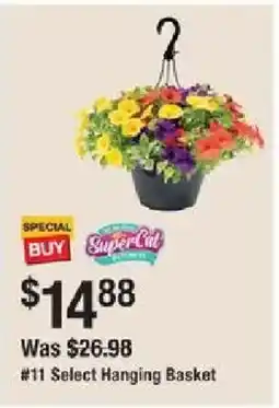 The Home Depot SuperCat Select Hanging Basket offer